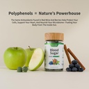 snap-supplements-blood-sugar-gummies-sup-6.jpg