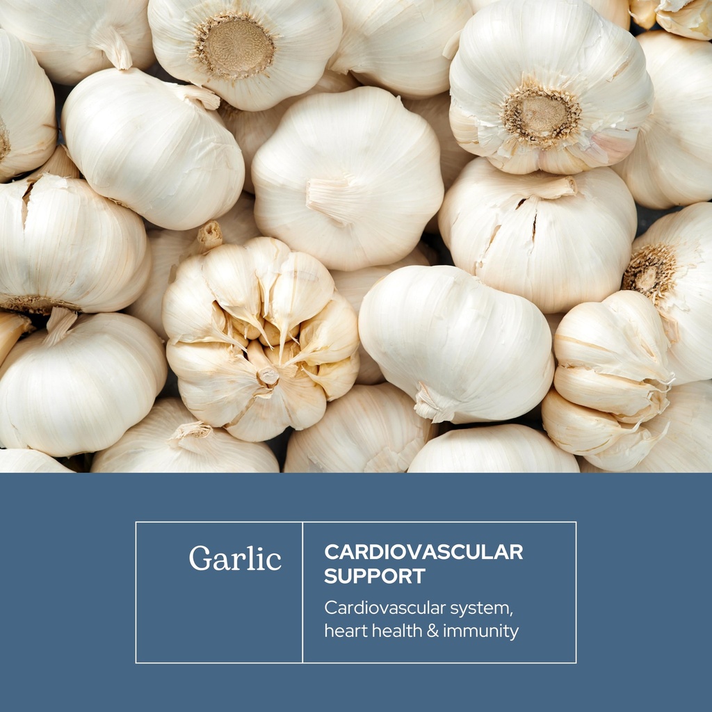 eclectic-herb-garlic-capsules-cardiovasc-3.jpg