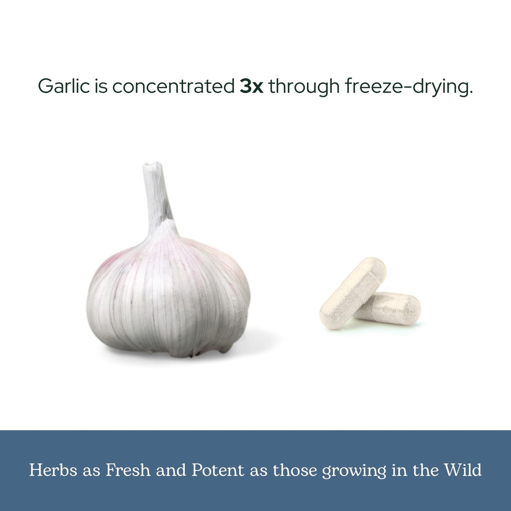 eclectic-herb-garlic-capsules-cardiovasc-6.jpg