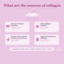 multi-collagen-peptides-powder-16-oz-41--5.jpg
