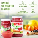 wildcrafted-irish-sea-moss-gel-made-in-u-3.jpg