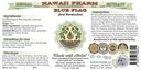 hawaii-pharm-blue-flag-alcohol-free-liqu-2.jpg