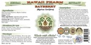 hawaii-pharm-bayberry-alcohol-free-liqui-2.jpg