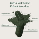 primal-harvest-sea-moss-capsules-with-bl-3.jpg