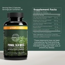 primal-harvest-sea-moss-capsules-with-bl-2.jpg