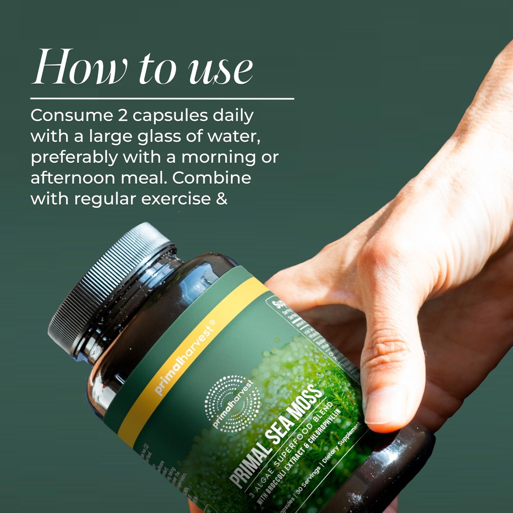 primal-harvest-sea-moss-capsules-with-bl-4.jpg