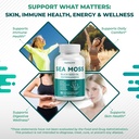 sea-moss-black-seed-oil-ashwagandha-ging-3.jpg