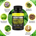 testosterone-booster-testosterone-supple-5.jpg