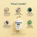 paratoxil-daily-gut-cleanse-with-psylliu-4.jpg