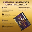 biotin-5000mcg-high-potency-biotin-suppl-6.jpg