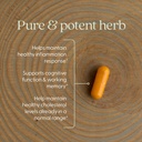 new-chapter-turmeric-supplement-one-dail-3.jpg