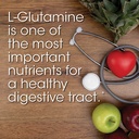 silver-fern-gut-repair-digestive-health--3.jpg