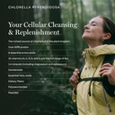 biopure-chlorella-pyrenoidosa-1000-table-6.jpg