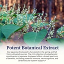 biopure-japanese-knotweed-herbal-tinctur-5.jpg