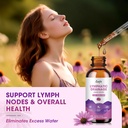 lymphatic-drainage-drops-supplements-for-4.jpg