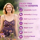 lymphatic-drainage-drops-supplements-for-2.jpg
