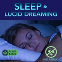 lucid-dreams-deep-sleep-mugwort-herb-5-h-4.jpg