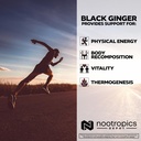 nootropics-depot-black-ginger-extract-ca-4.jpg