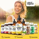 wild-organic-ginger-root-extract-drops-i-5.jpg