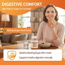 ginger-gummies-500mg-turmeric-and-ginger-3.jpg
