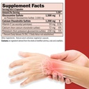 andrew-lessman-glucosamine-1500-chondroi-2.jpg
