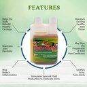 synflex-1500mg-liquid-glucosamine-chondr-5.jpg
