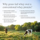 beam-grass-fed-whey-protein-powder-choco-5.jpg