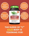 zenwise-health-enhanced-absorption-lipos-3.jpg