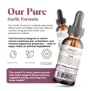 amazing-botanicals-garlic-tincture-alliu-6.jpg