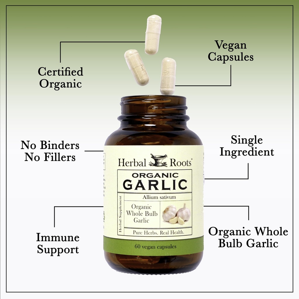 herbal-roots-organic-whole-bulb-garlic-p-4.jpg