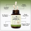 herbal-roots-organic-whole-bulb-garlic-p-4.jpg