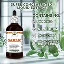 garlic-allium-sativum-dry-bulb-glycerite-6.jpg