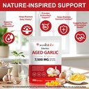 aged-garlic-extract-capsules-300-softgel-3.jpg