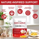 aged-garlic-extract-capsules-odorless-or-4.jpg