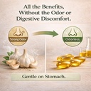 aged-garlic-extract-300-softgels-odorles-4.jpg
