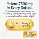 aged-garlic-extract-300-softgels-odorles-3.jpg