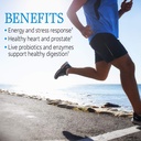 garden-of-life-vitamin-code-raw-one-for--2.jpg