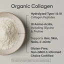 sports-research-organic-collagen-peptide-4.jpg