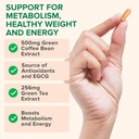 zenwise-health-egcg-green-tea-extract-ca-4.jpg