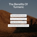 momentous-turmeric-supplement-1-000-mg-n-3.jpg