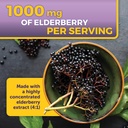 viva-naturals-black-elderberry-with-vita-5.jpg