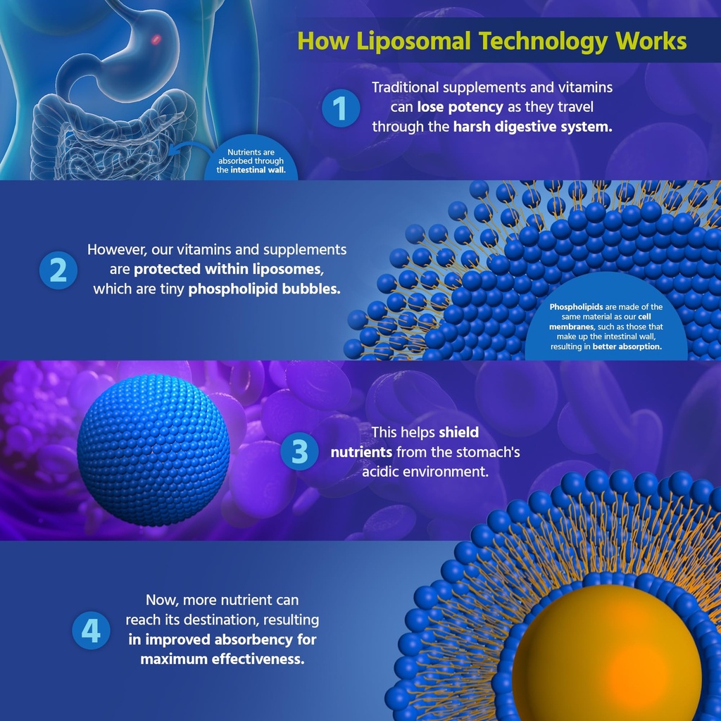 core-med-science-liposomal-iron-suppleme-6.jpg