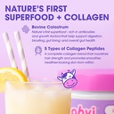 obvi-hydrolyzed-bovine-collagen-peptide--4.jpg