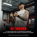 prosupps-cla-3000-lean-body-composition--5.jpg
