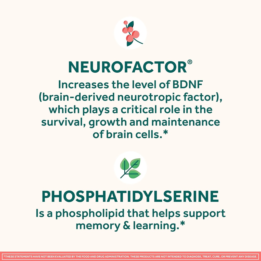 neuriva-original-brain-supplement-for-me-4.jpg