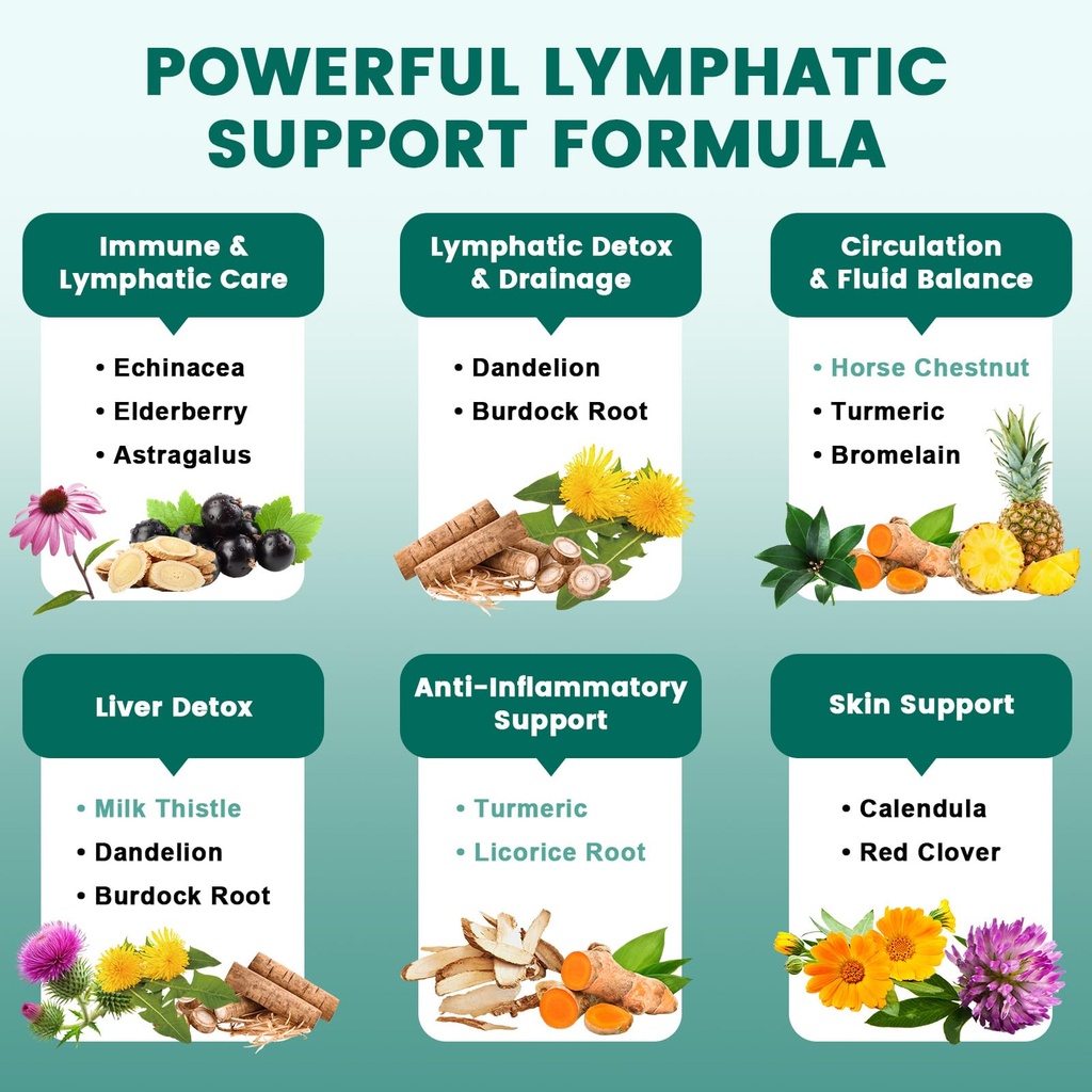 lymphatic-drainage-supplement-lymphatic--5.jpg