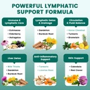 lymphatic-drainage-supplement-lymphatic--5.jpg