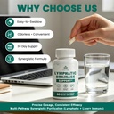 lymphatic-drainage-supplement-lymphatic--6.jpg