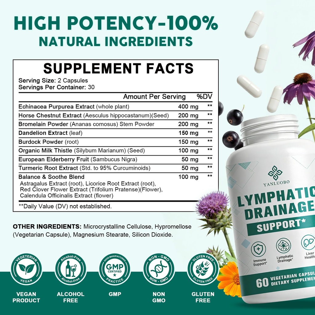 lymphatic-drainage-supplement-lymphatic--2.jpg