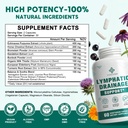 lymphatic-drainage-supplement-lymphatic--2.jpg